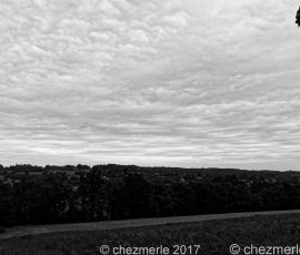 DSC_1533_DxO